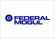 Federal Mogul